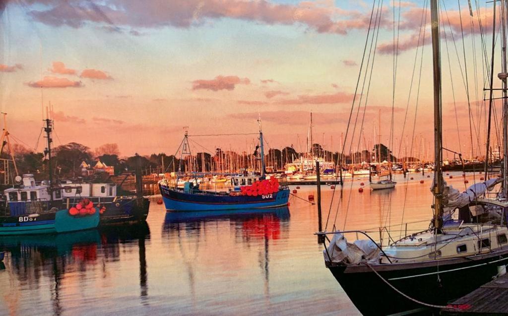 Shorefield Country Park, Where The New Forest Meets The Sea, Passes For All Entertainment Included Milford on Sea Luaran gambar