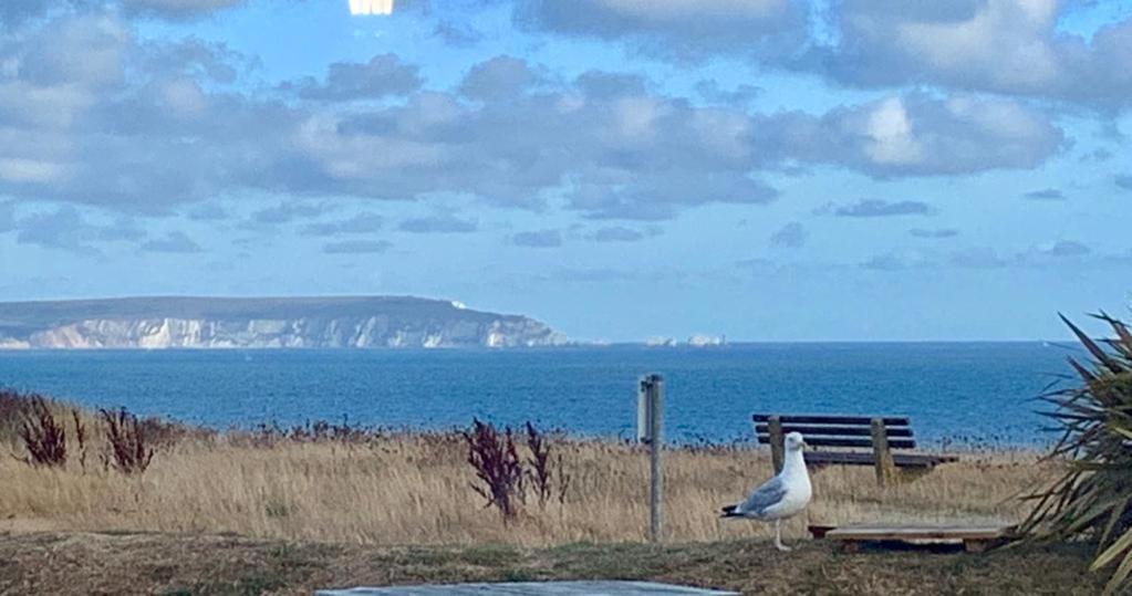 Shorefield Country Park, Where The New Forest Meets The Sea, Passes For All Entertainment Included Milford on Sea Luaran gambar