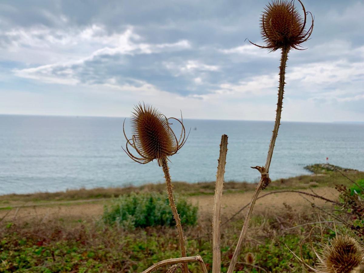 Shorefield Country Park, Where The New Forest Meets The Sea, Passes For All Entertainment Included Milford on Sea Luaran gambar