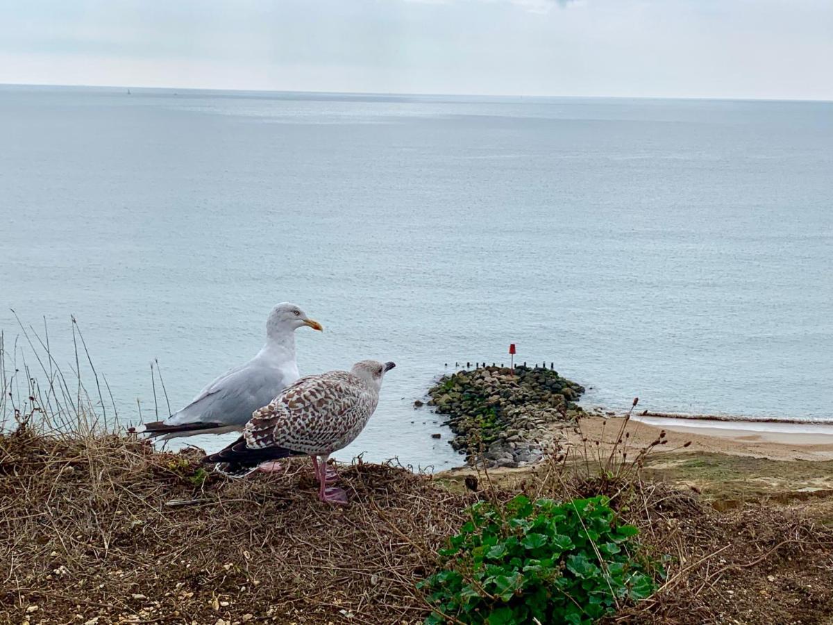 Shorefield Country Park, Where The New Forest Meets The Sea, Passes For All Entertainment Included Milford on Sea Luaran gambar
