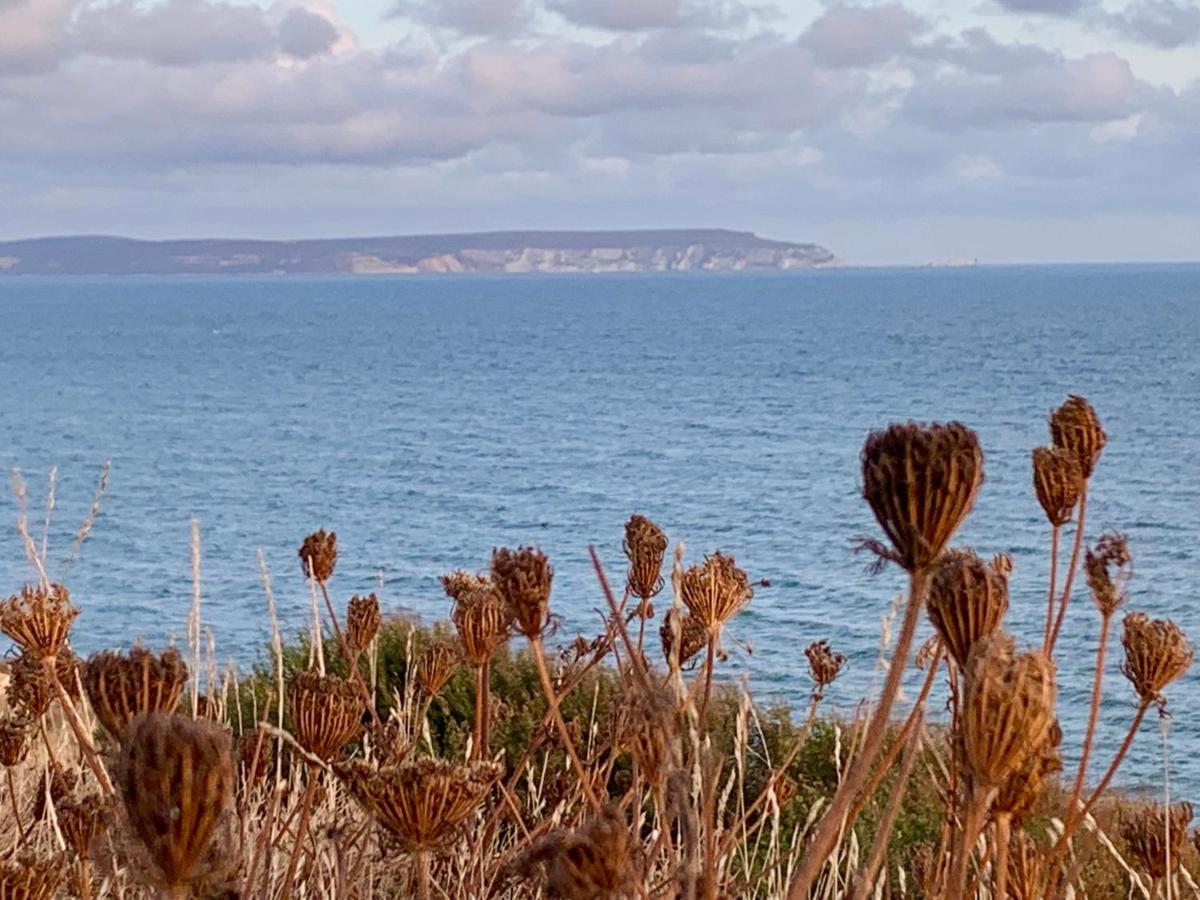 Shorefield Country Park, Where The New Forest Meets The Sea, Passes For All Entertainment Included Milford on Sea Luaran gambar