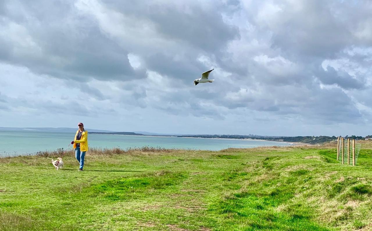 Shorefield Country Park, Where The New Forest Meets The Sea, Passes For All Entertainment Included Milford on Sea Luaran gambar