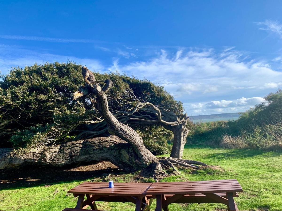 Shorefield Country Park, Where The New Forest Meets The Sea, Passes For All Entertainment Included Milford on Sea Luaran gambar